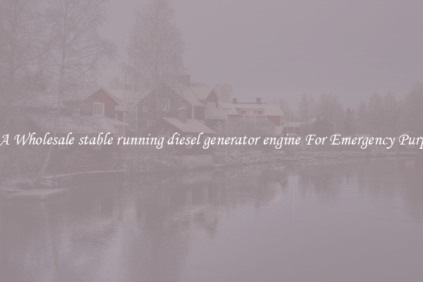 Get A Wholesale stable running diesel generator engine For Emergency Purposes
