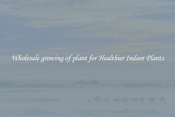 Wholesale growing of plant for Healthier Indoor Plants