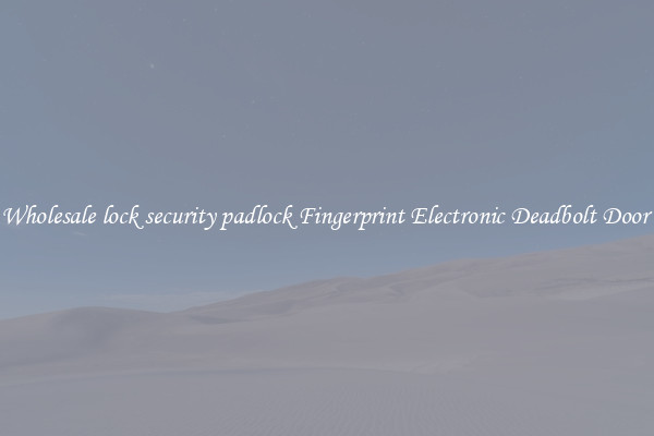Wholesale lock security padlock Fingerprint Electronic Deadbolt Door 