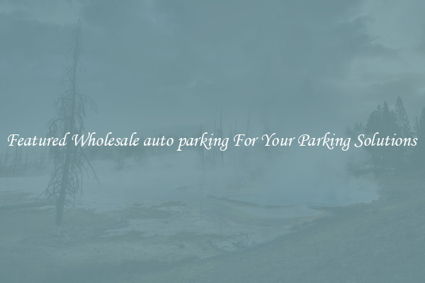 Featured Wholesale auto parking For Your Parking Solutions 