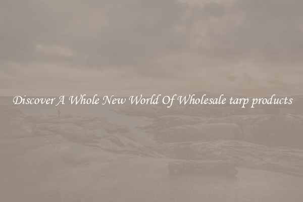 Discover A Whole New World Of Wholesale tarp products