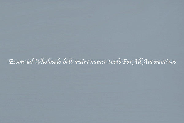 Essential Wholesale belt maintenance tools For All Automotives
