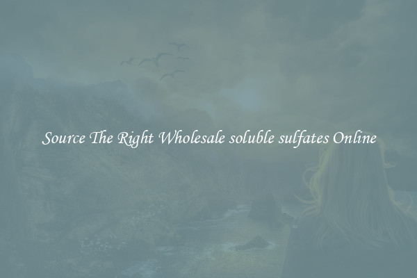 Source The Right Wholesale soluble sulfates Online