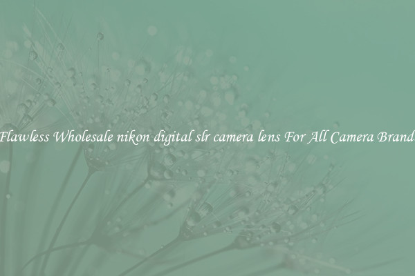 Flawless Wholesale nikon digital slr camera lens For All Camera Brands