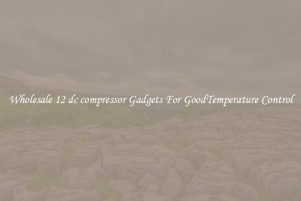 Wholesale 12 dc compressor Gadgets For GoodTemperature Control