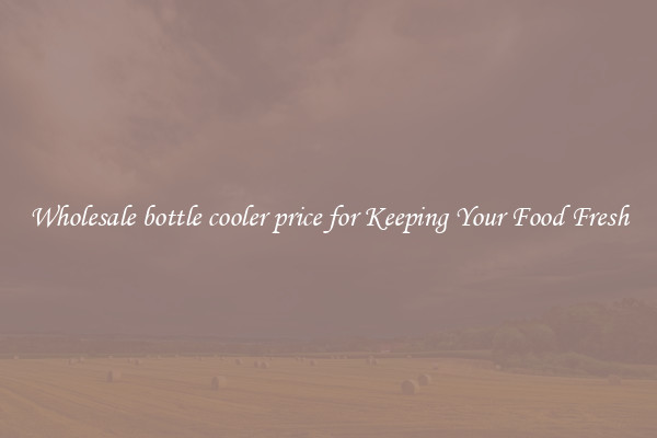Wholesale bottle cooler price for Keeping Your Food Fresh