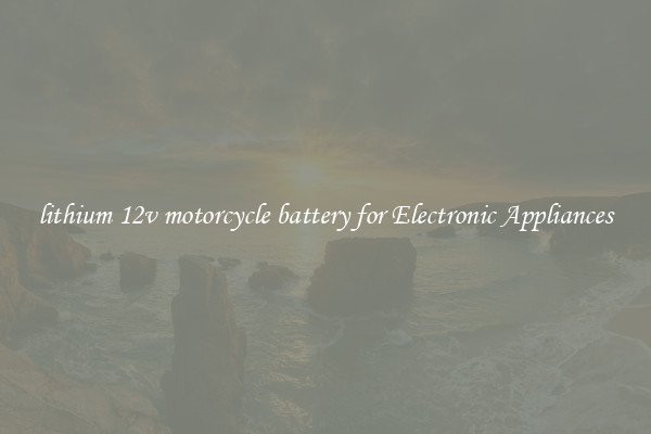 lithium 12v motorcycle battery for Electronic Appliances