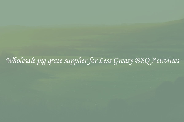 Wholesale pig grate supplier for Less Greasy BBQ Activities