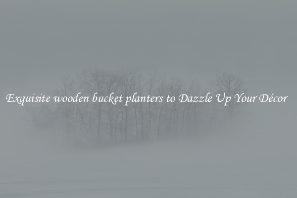 Exquisite wooden bucket planters to Dazzle Up Your Décor  