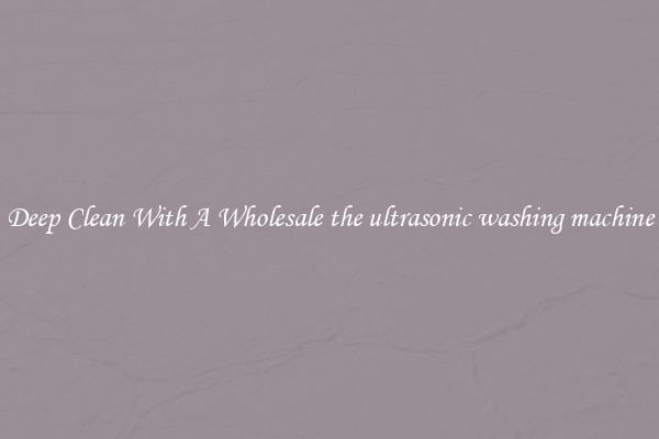 Deep Clean With A Wholesale the ultrasonic washing machine