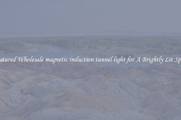 Featured Wholesale magnetic induction tunnel light for A Brightly Lit Space