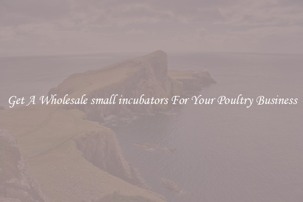 Get A Wholesale small incubators For Your Poultry Business