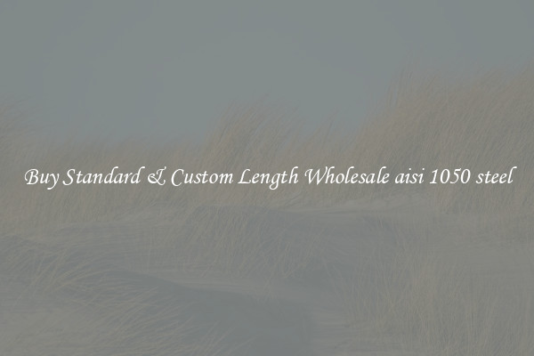 Buy Standard & Custom Length Wholesale aisi 1050 steel