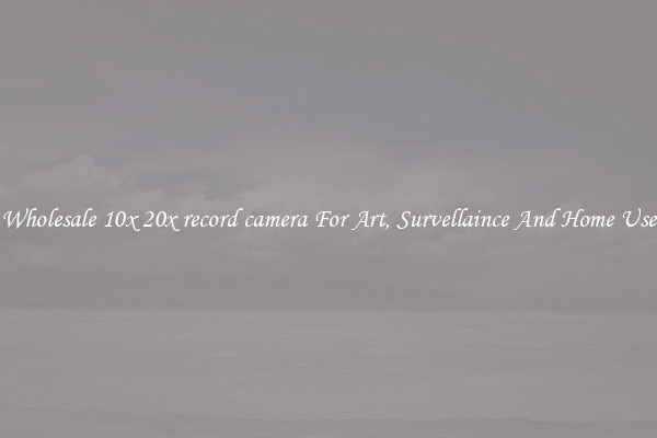 Wholesale 10x 20x record camera For Art, Survellaince And Home Use