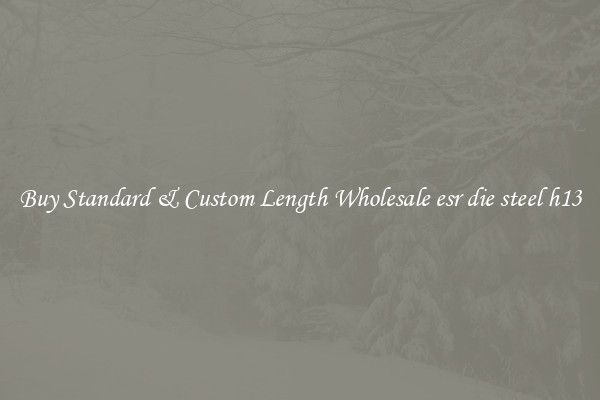 Buy Standard & Custom Length Wholesale esr die steel h13