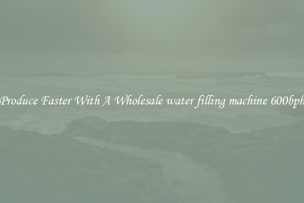 Produce Faster With A Wholesale water filling machine 600bph