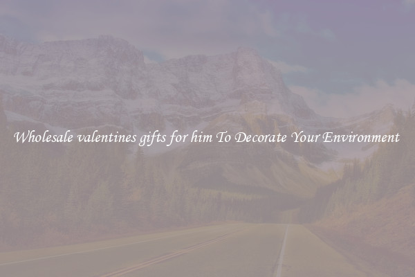 Wholesale valentines gifts for him To Decorate Your Environment 