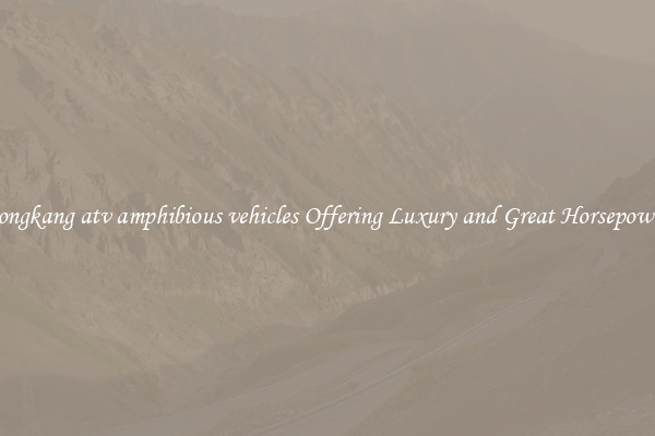 yongkang atv amphibious vehicles Offering Luxury and Great Horsepower