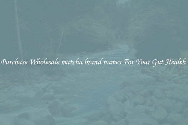 Purchase Wholesale matcha brand names For Your Gut Health 