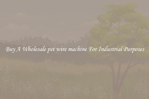 Buy A Wholesale pet wire machine For Industrial Purposes
