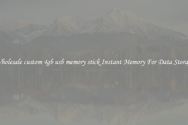 Wholesale custom 4gb usb memory stick Instant Memory For Data Storage