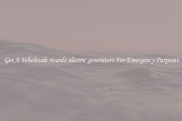 Get A Wholesale ricardo electric generators For Emergency Purposes